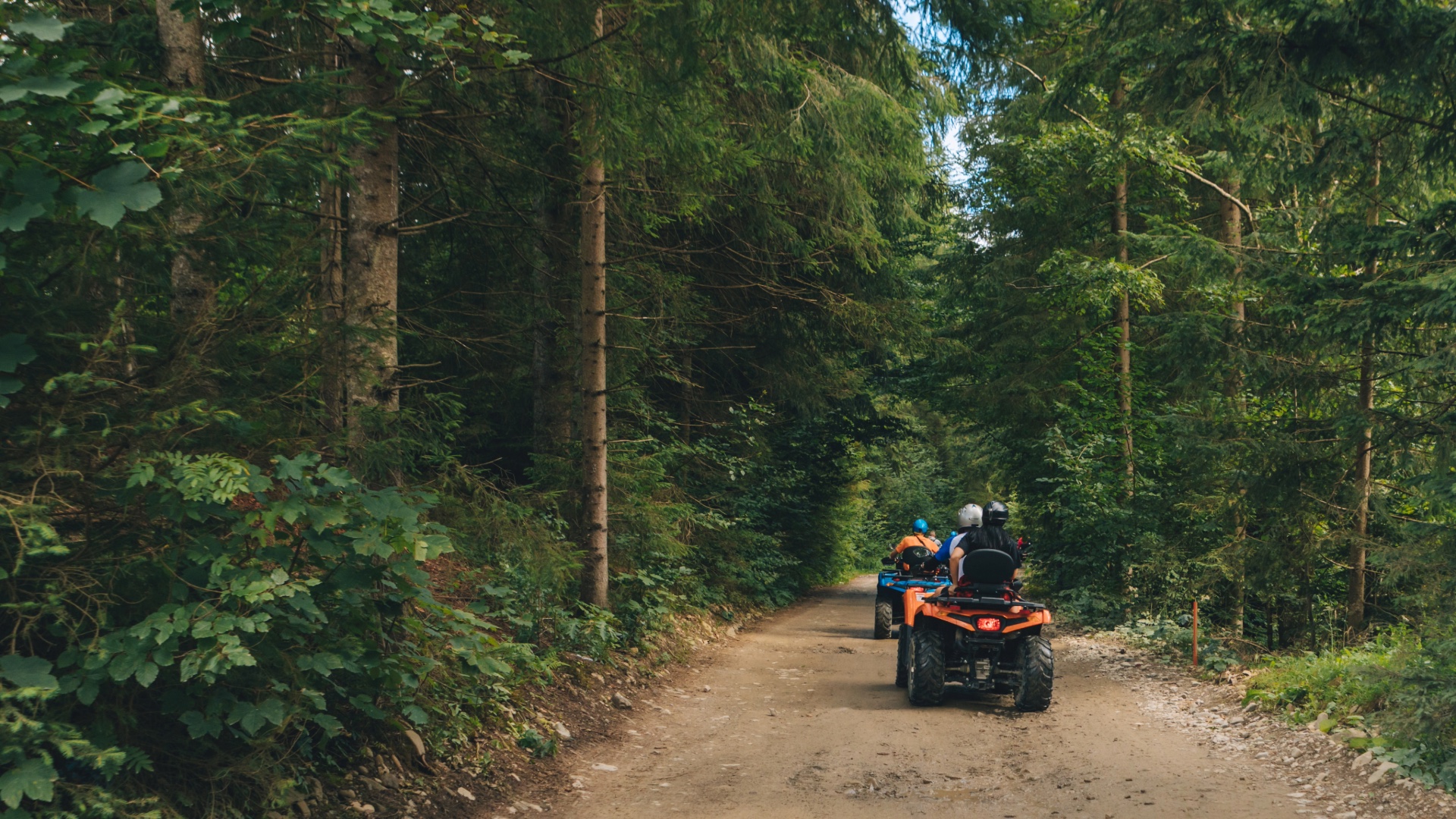 Helmeted ATV riders traveling along a wooded trail