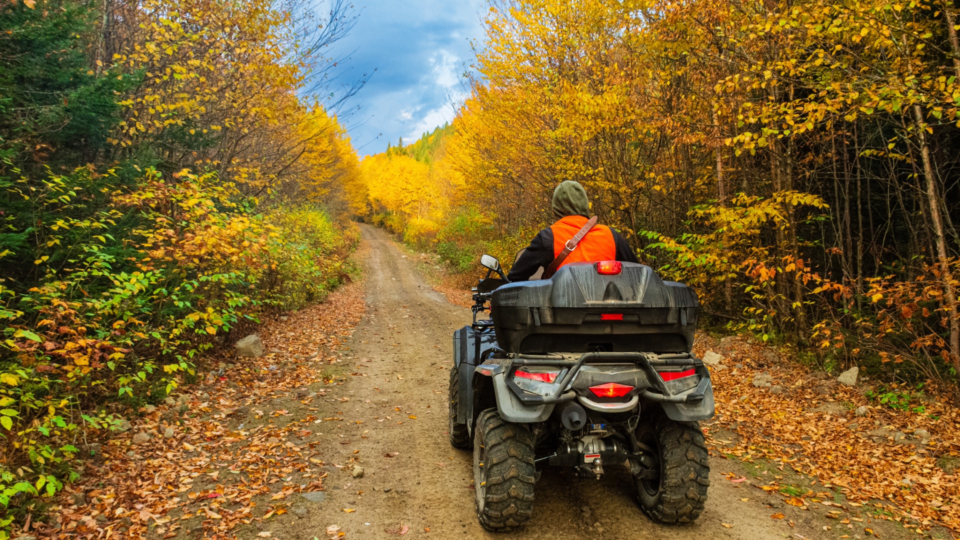 ATV rider traveling through golden autumn trees
