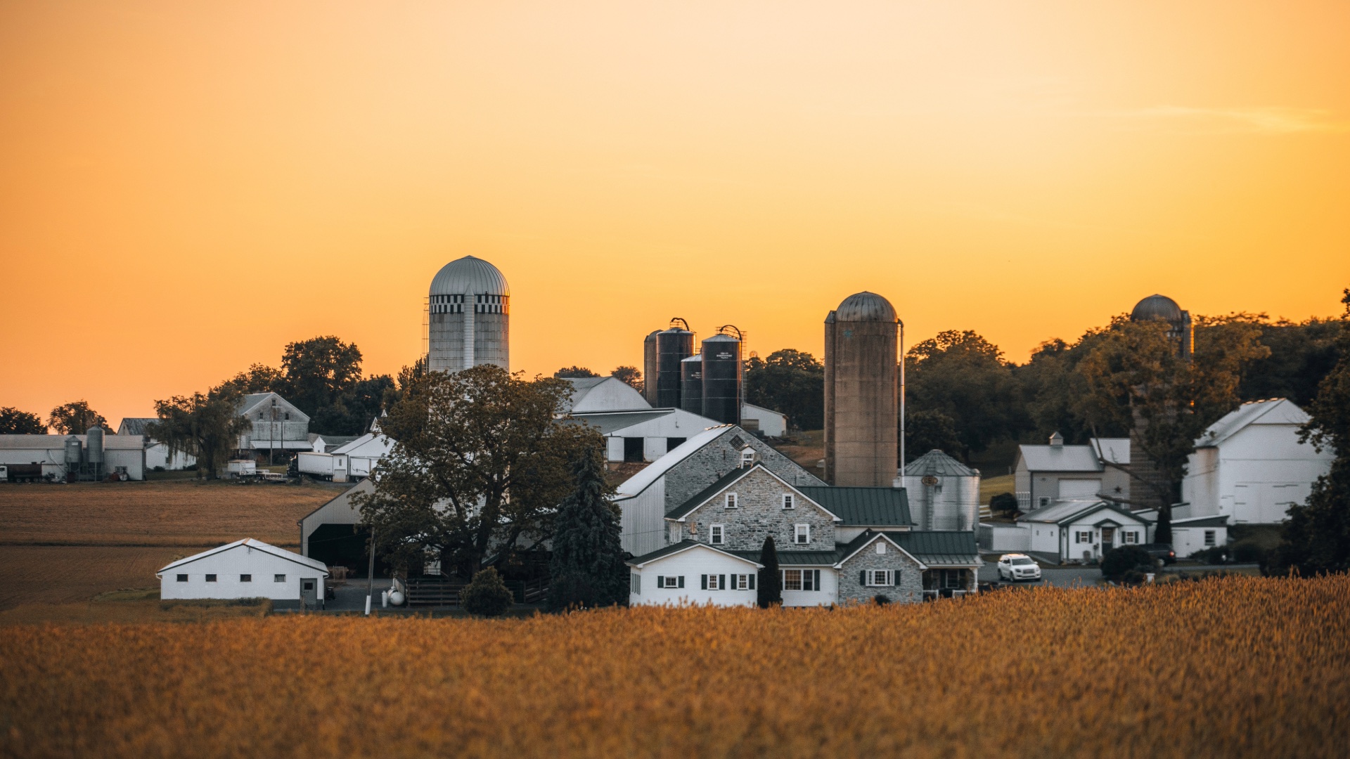 Lancaster County farmland and silos at sunset