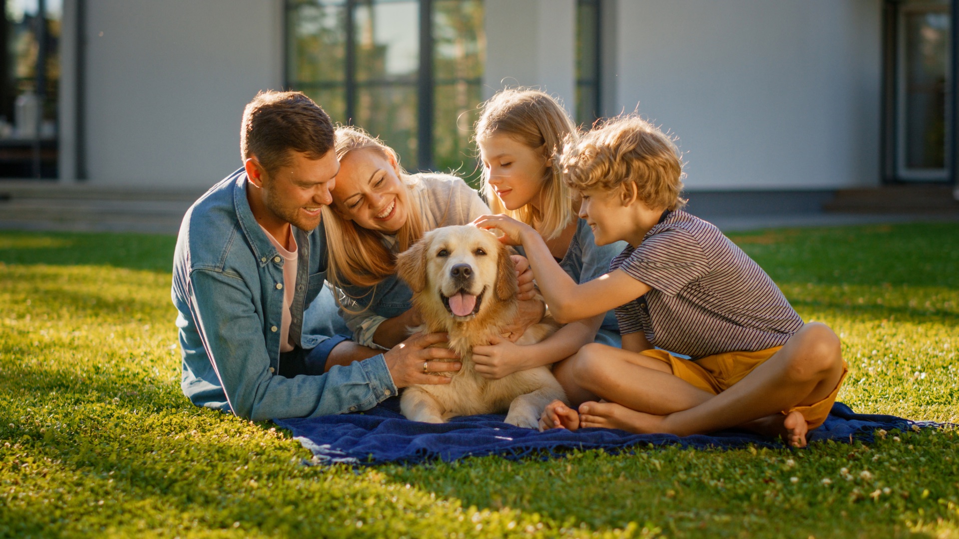Pet insurance guidance from Sonon Insurance