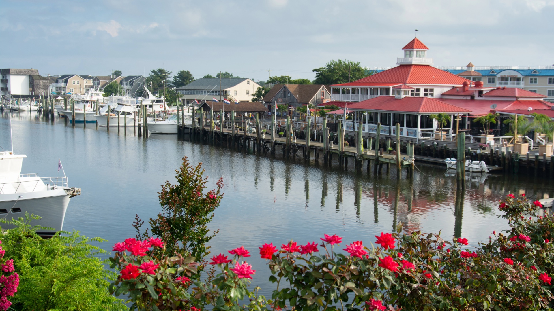 Waterfront restaurant and marina in Lewes, Delaware, framed by red flowers