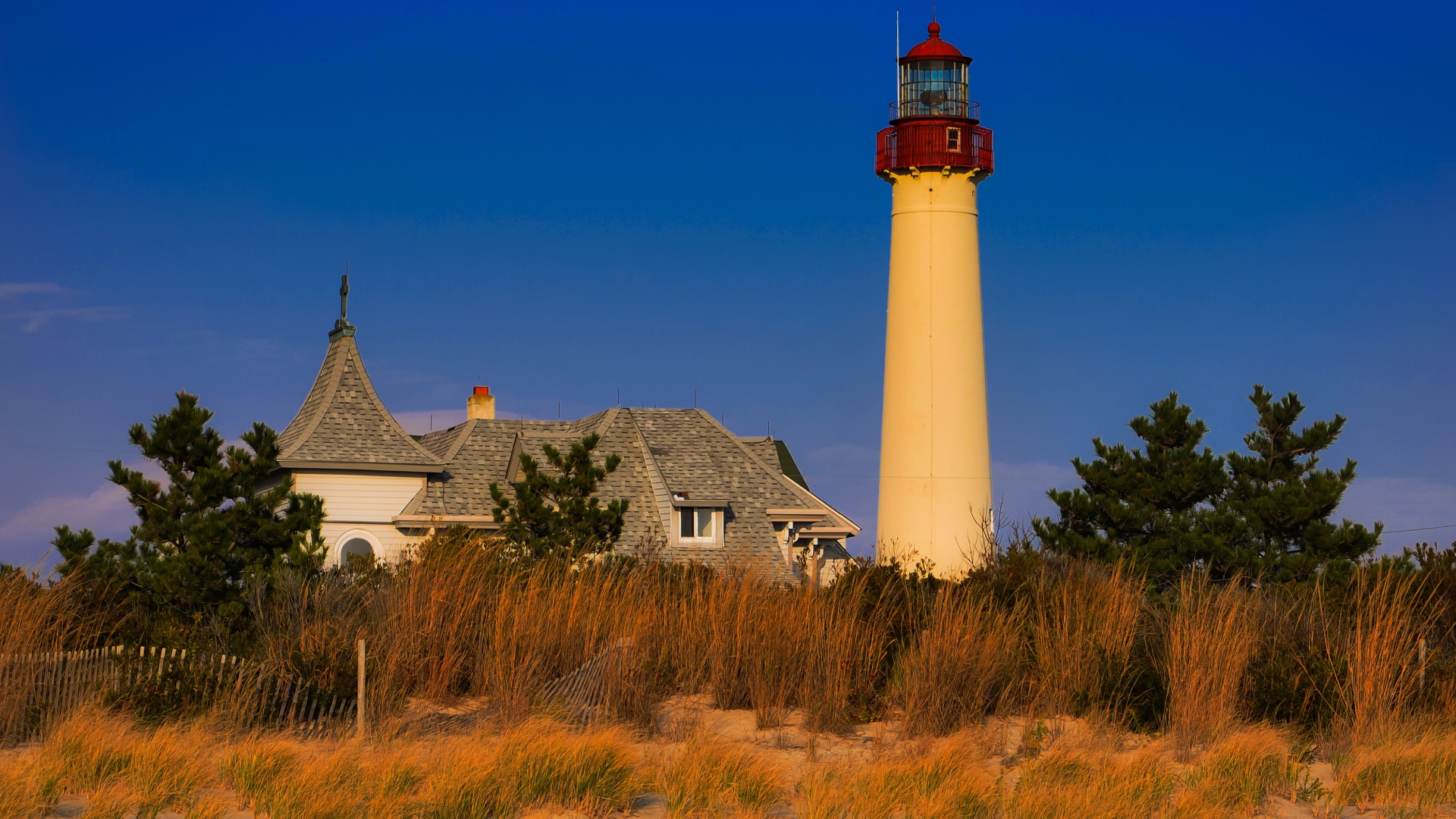 Cape May Lighthouse above coastal buildings and golden dune grasses in New Jersey