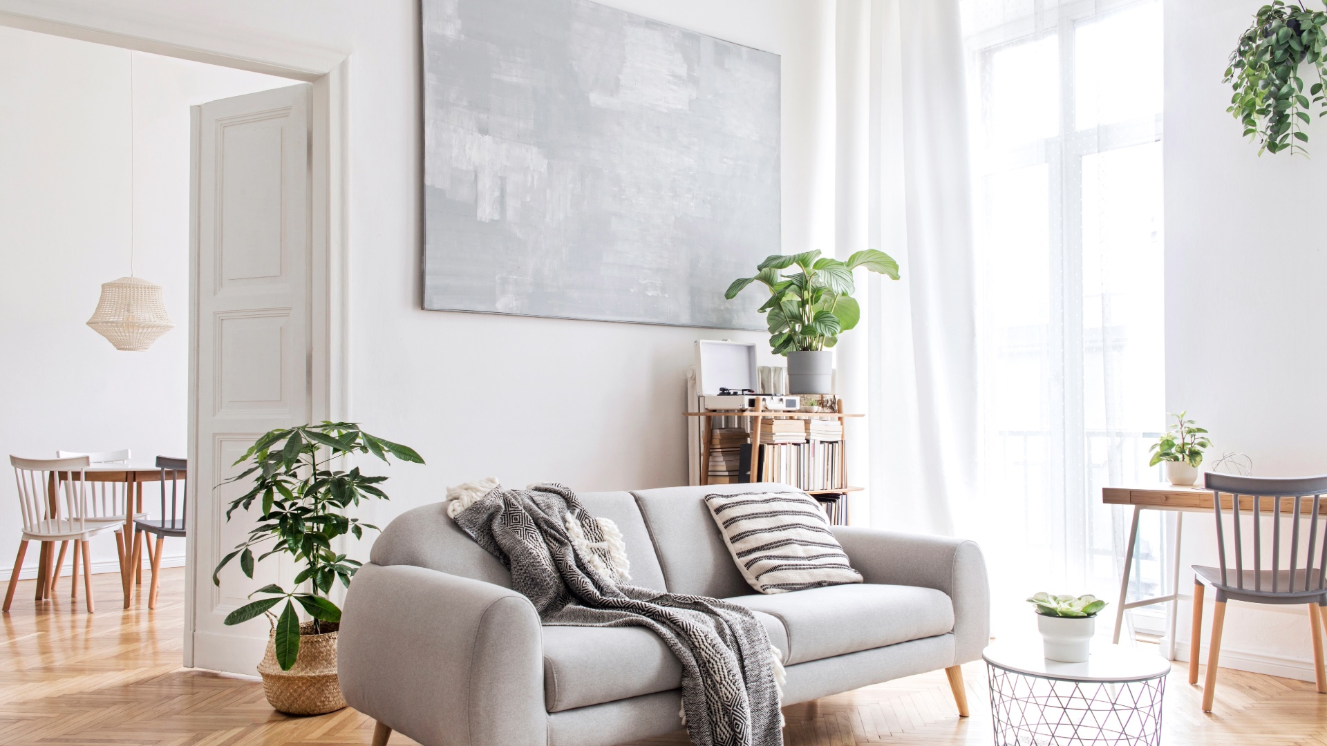 Bright apartment living room with a gray sofa and houseplants