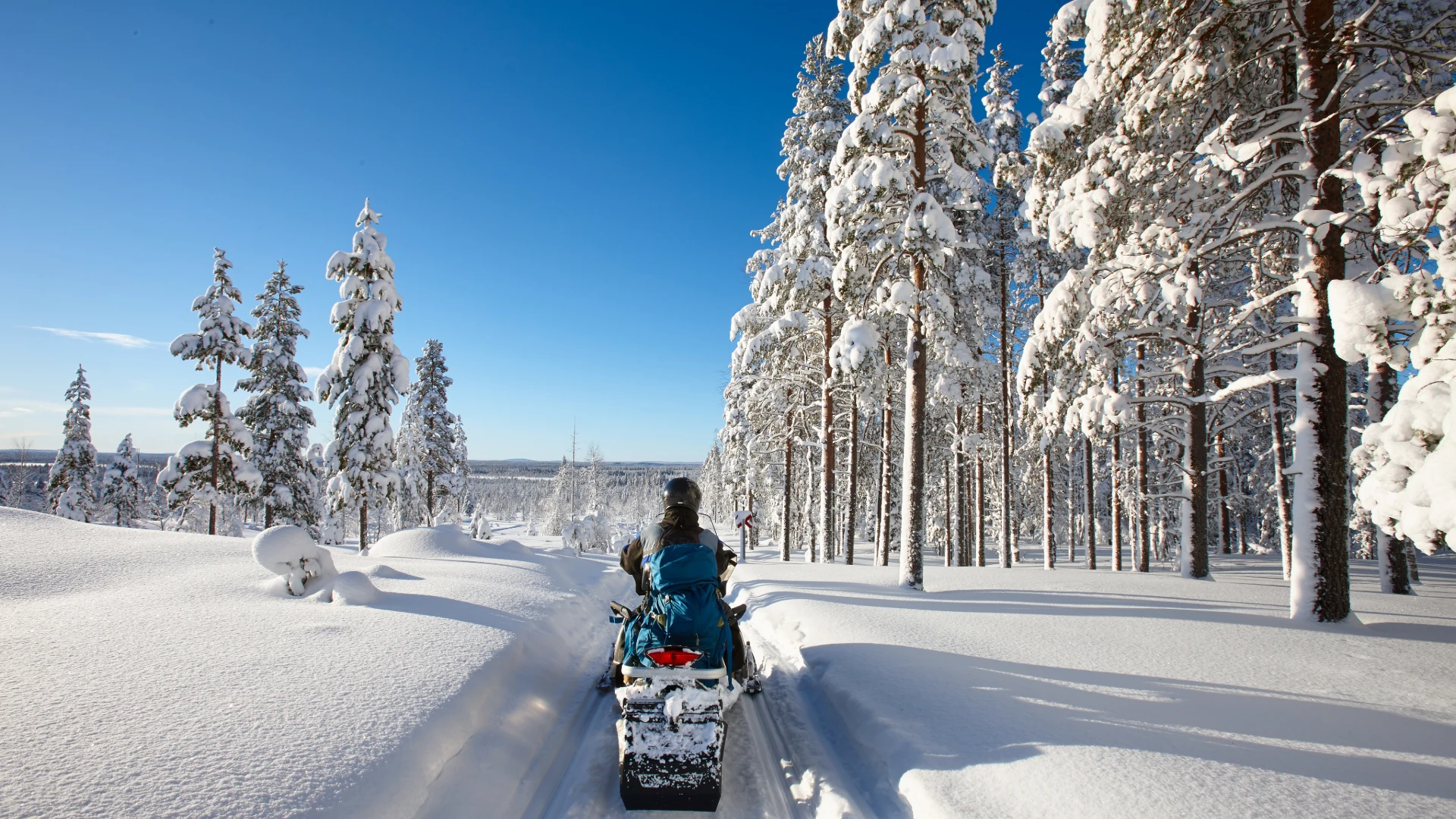 Snowmobile rider traveling along a trail between snow-covered trees